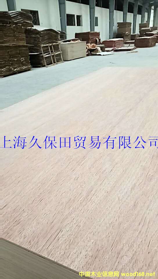 5���z�ϰ��Ԕ��(x��)��B