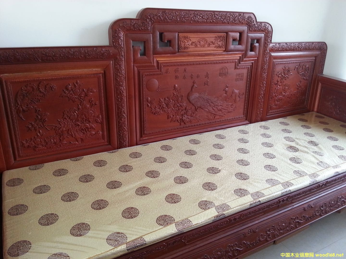 ��������ľ