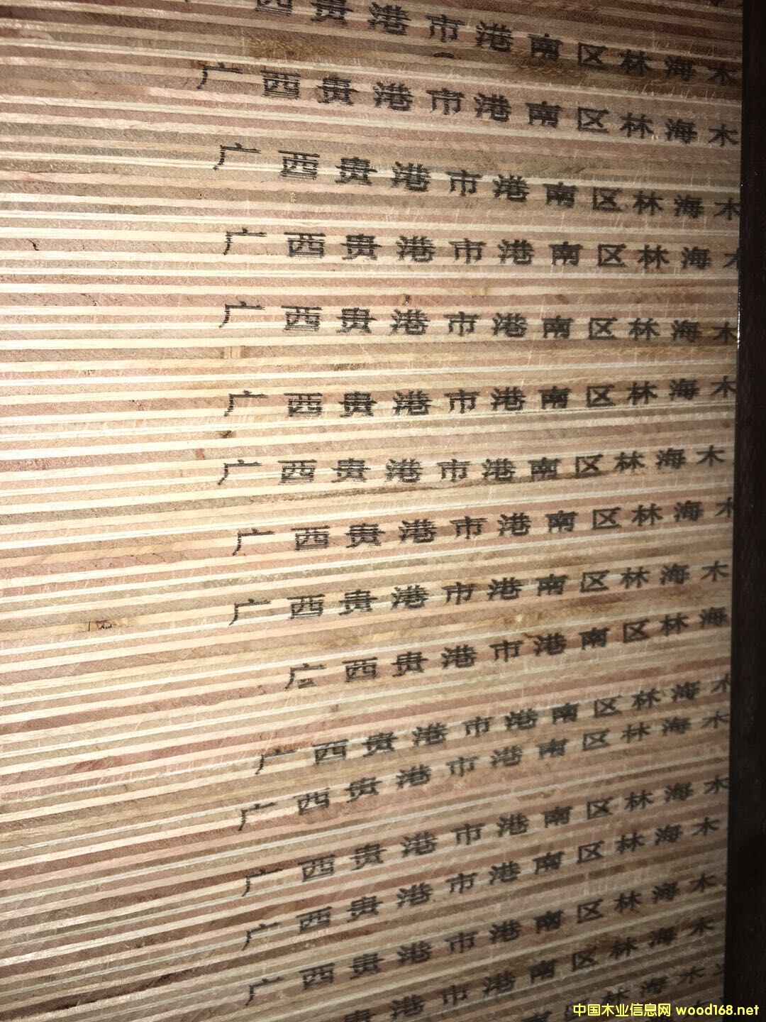  �N����Ӱ��Ԕ��(x��)��B