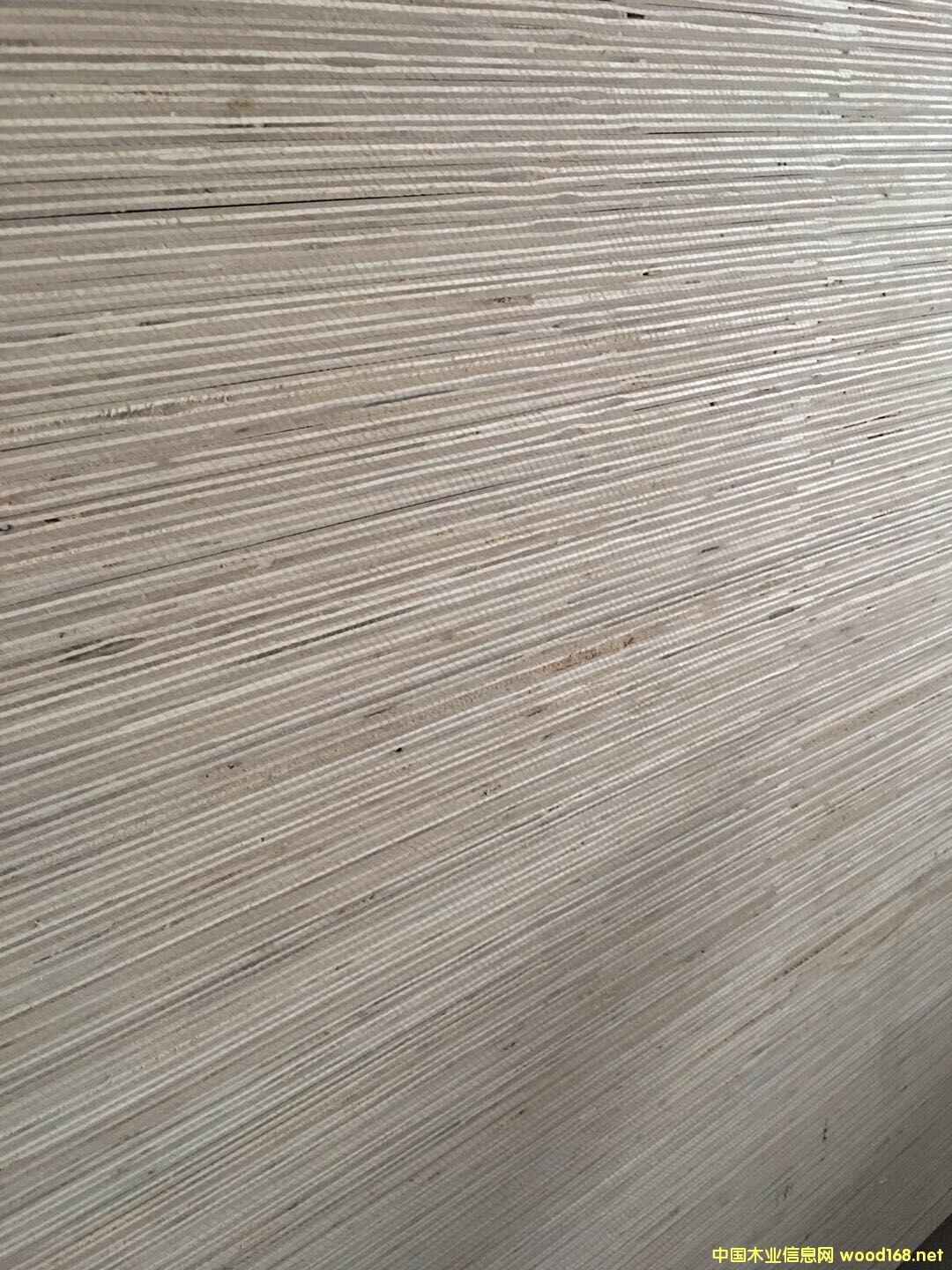  �N����Ӱ��Ԕ��(x��)��B