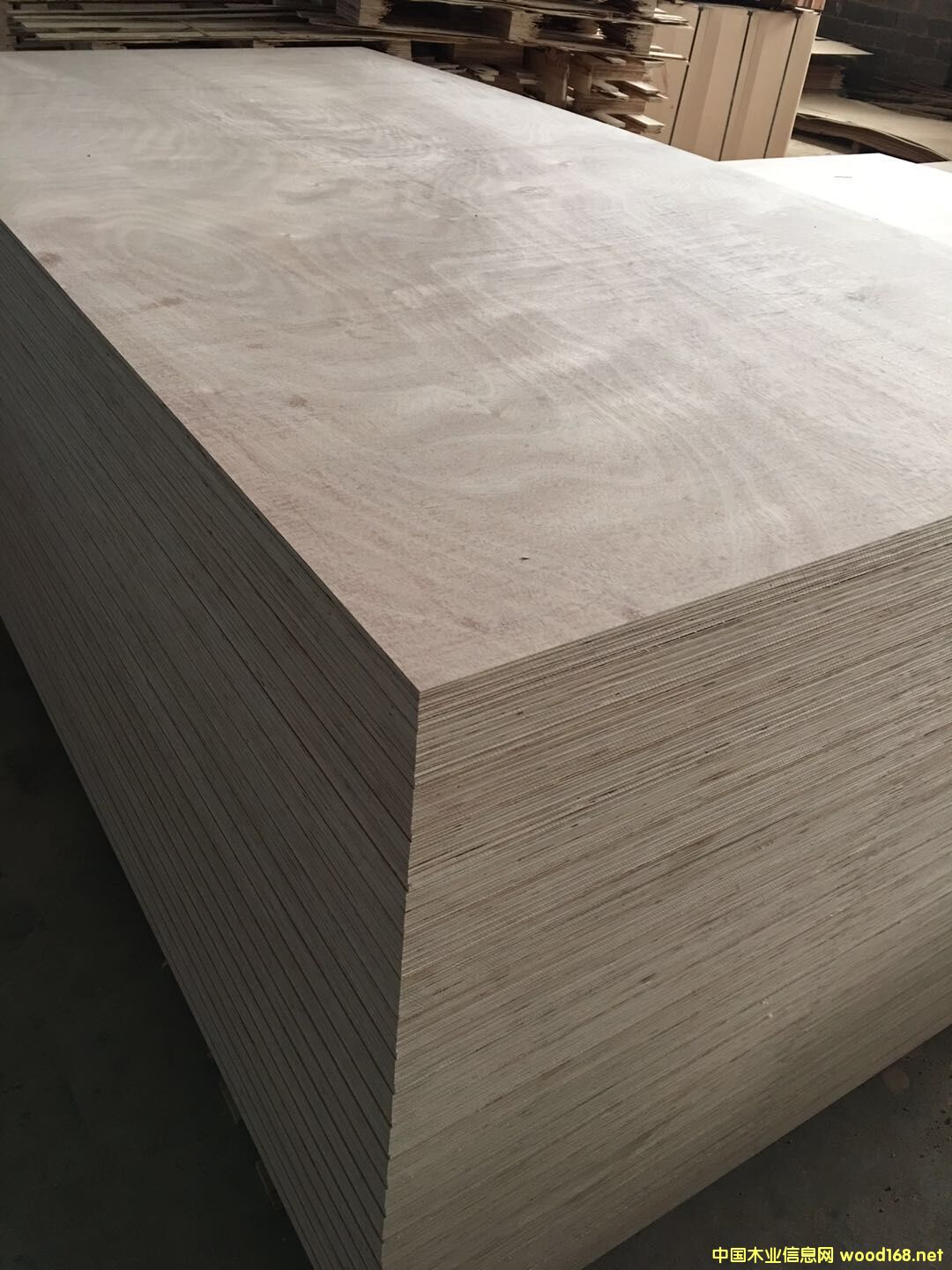  �N����Ӱ��Ԕ��(x��)��B