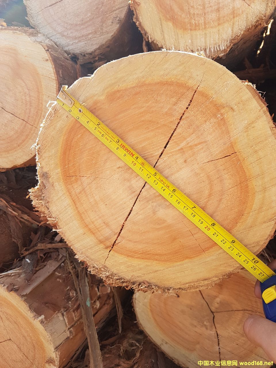 ����õ����ľ ԭľ