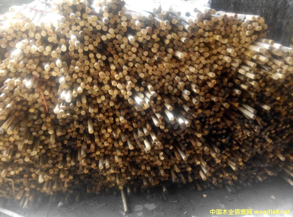 ��ľ�A����Ԕ����B