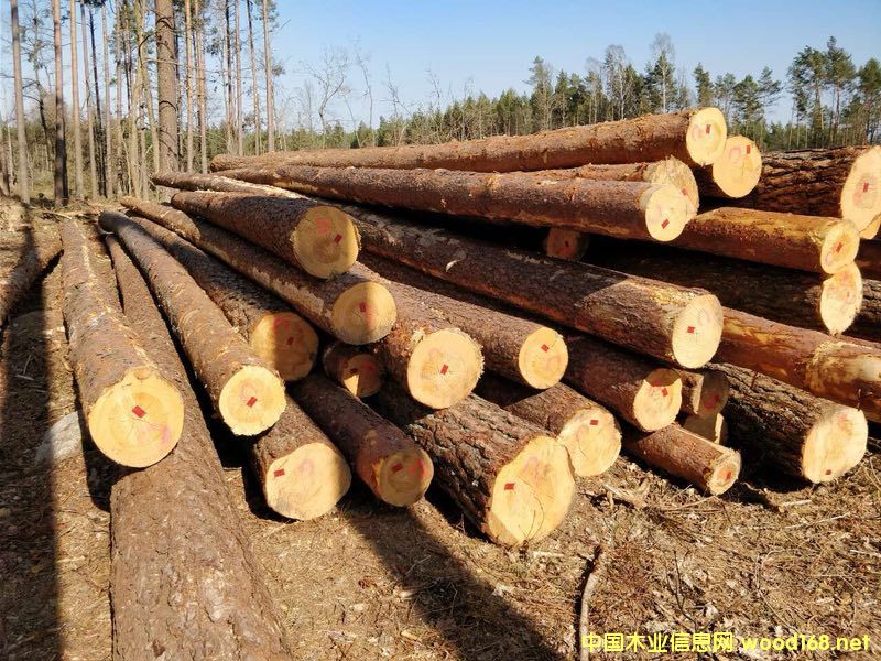 ������ԭľ��Ԕ��(x��)��B