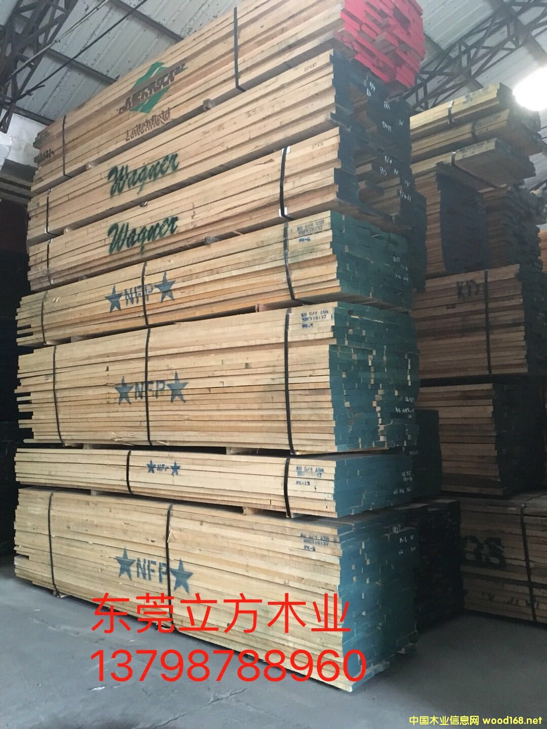 ����(gu��)��Ϟ?z��i)?><br>
                      <font size=3><b>����(gu��)��Ϟ?z��i)?/b></font></a></div>
                  </td>
                </tr>
                 
                <tr> 
                  
                <td height=