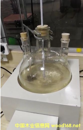 E0��CABR���B(t��i)������(sh��)ľ��(f��)�ϵذ�h(hu��n)����ȩ��(sh��)֬����ȩ�z�Ƃ似