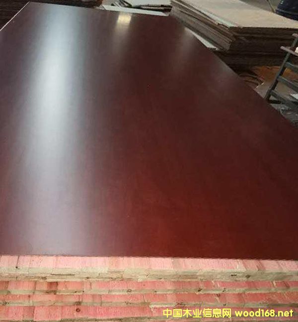 ��Ĥ���z������ˮģ��