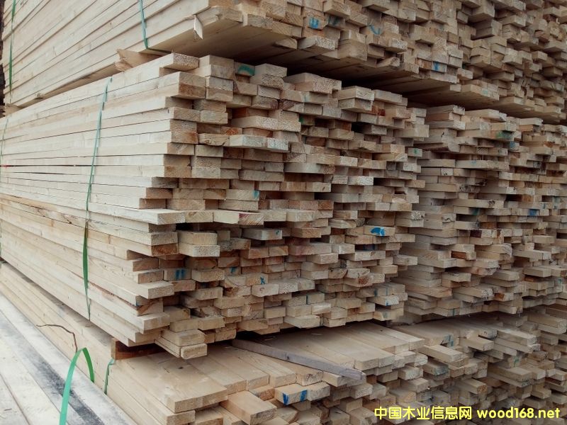 ���_˹�M(j��n)�ڰ��ɷ�ľ