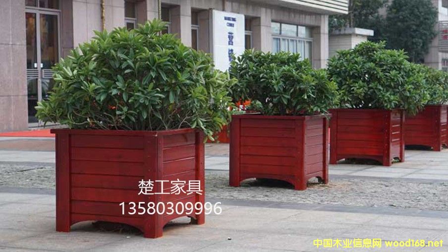 ���̈@��ľ����