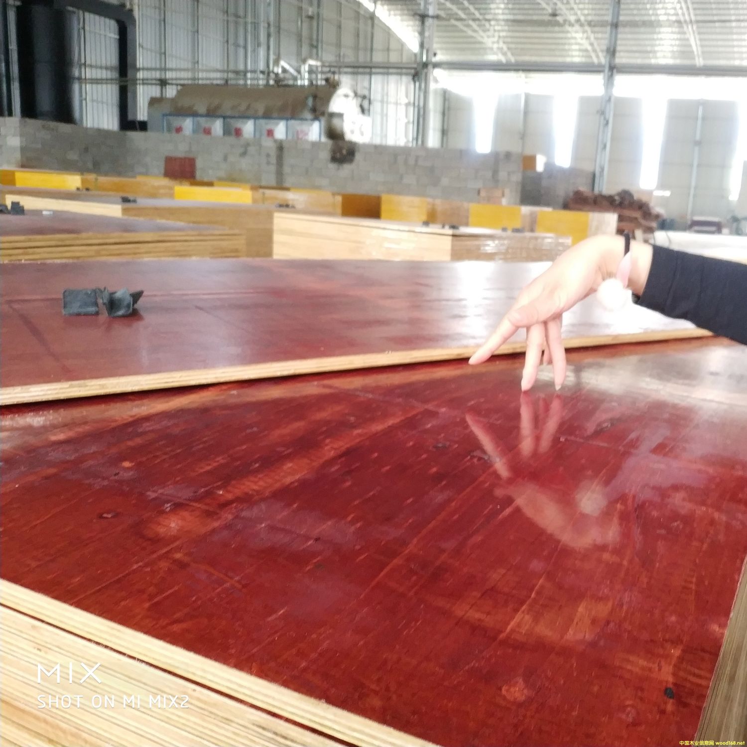 �������С�t��