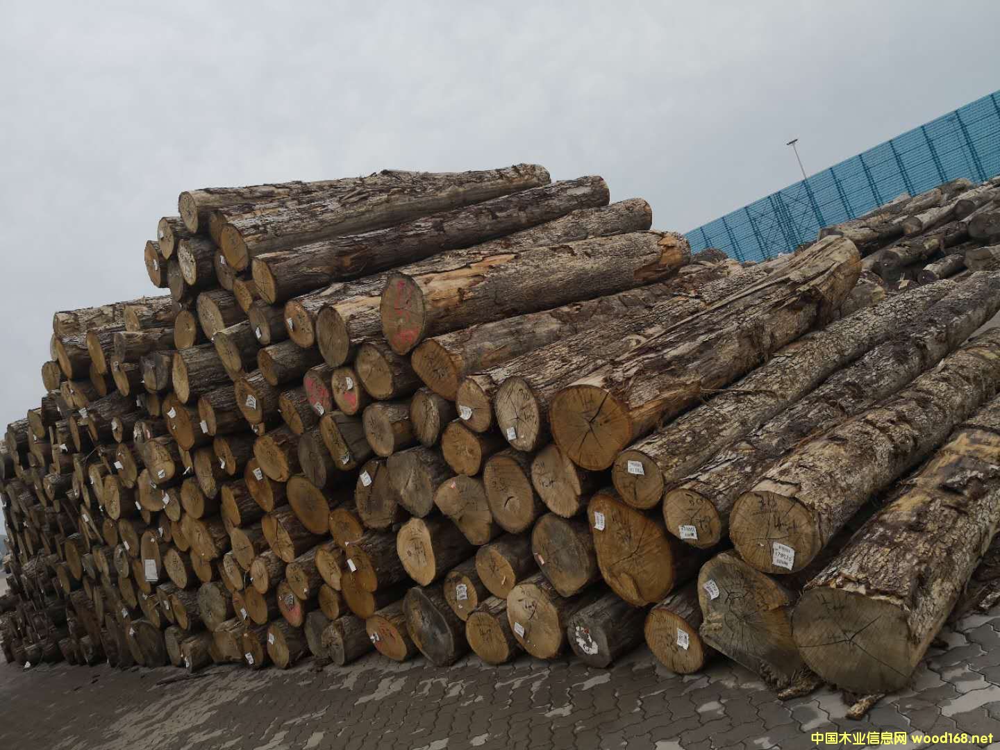 ����(gu��)����