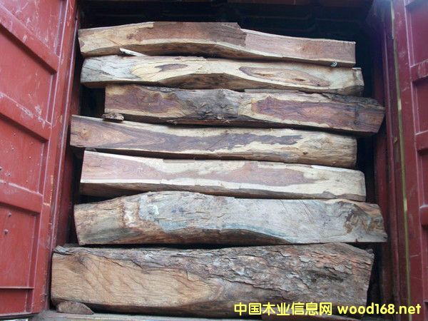 �����惞(y��u)�|(zh��)���޻���