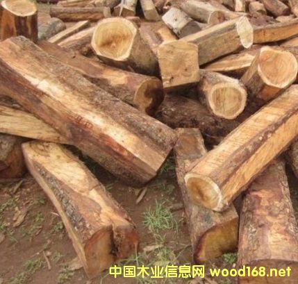 �����̴ԭľ