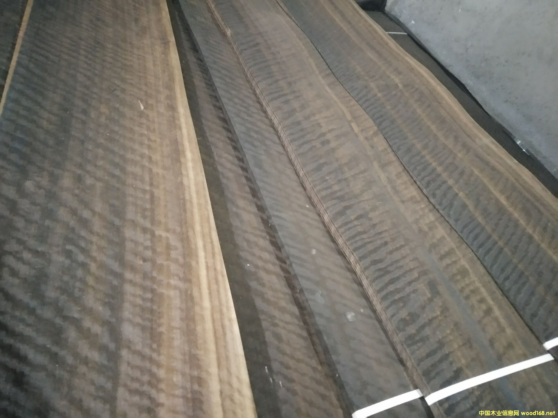 ��Ѭ�ȼ���Ӱ��Ԕ����B