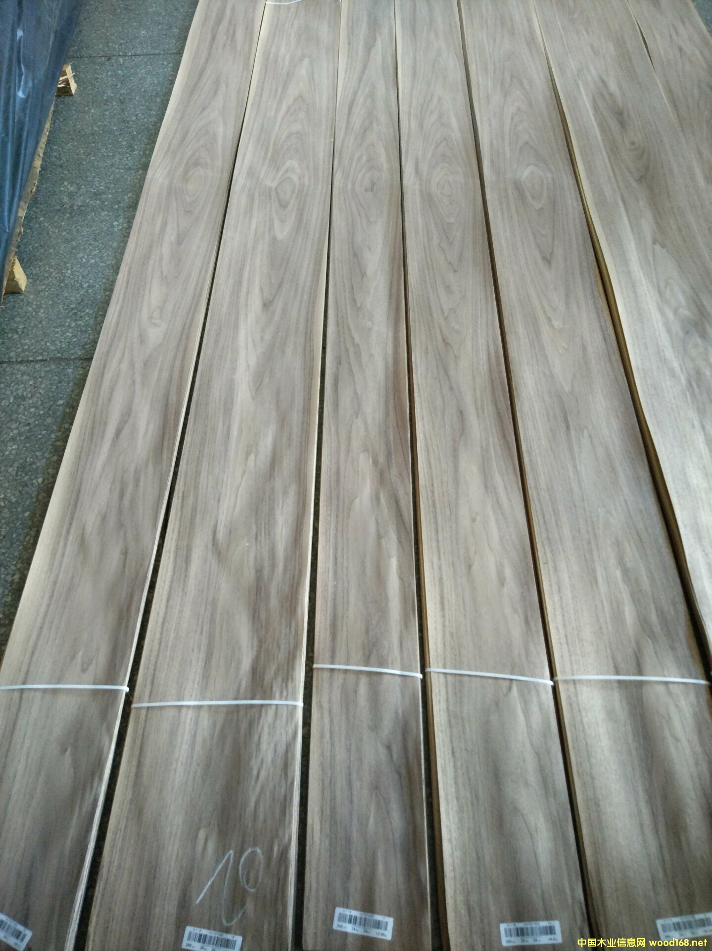 �ں���ɽ�y��Ԕ����B