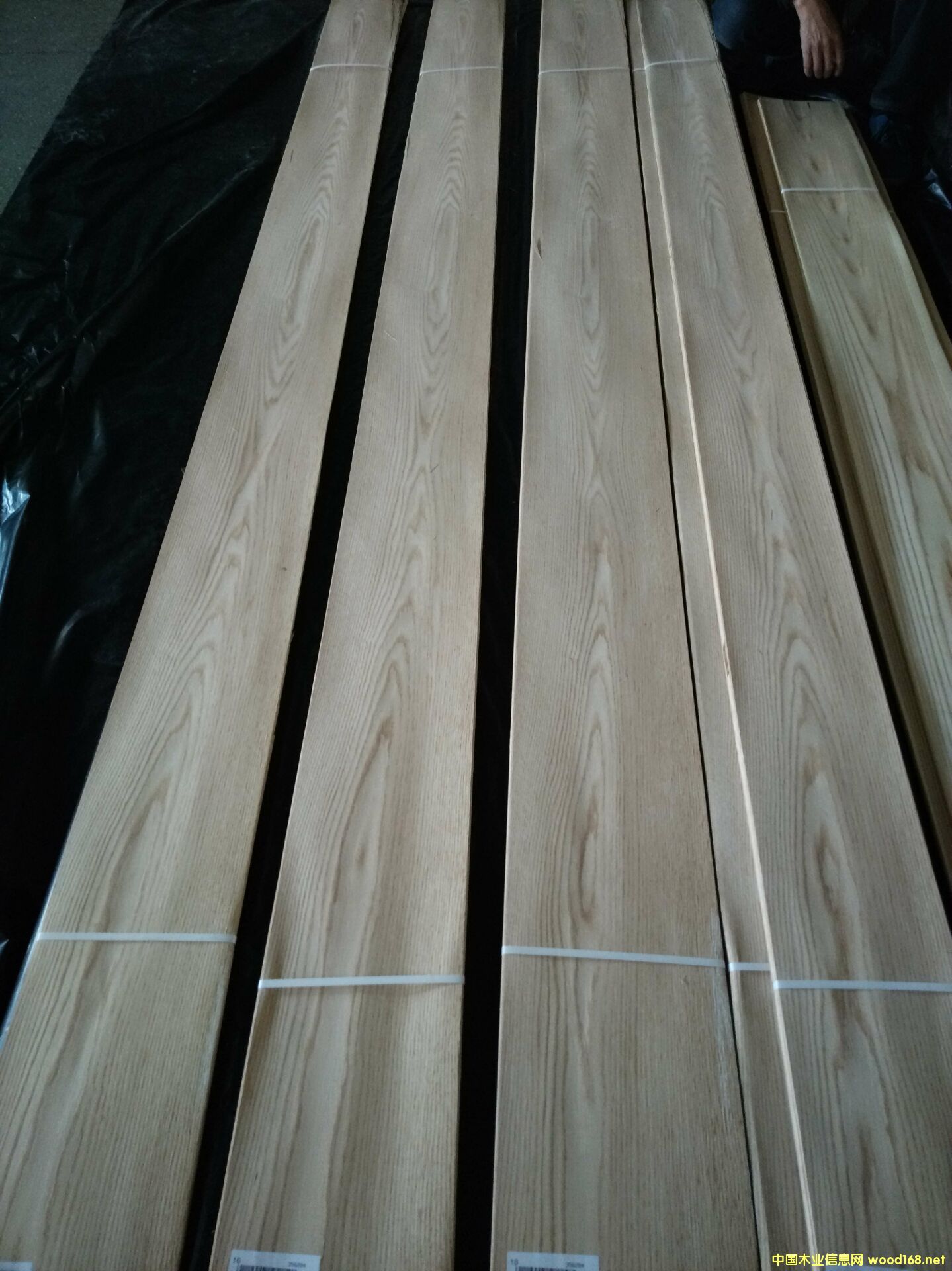 �t��ɽ�y��Ԕ����B