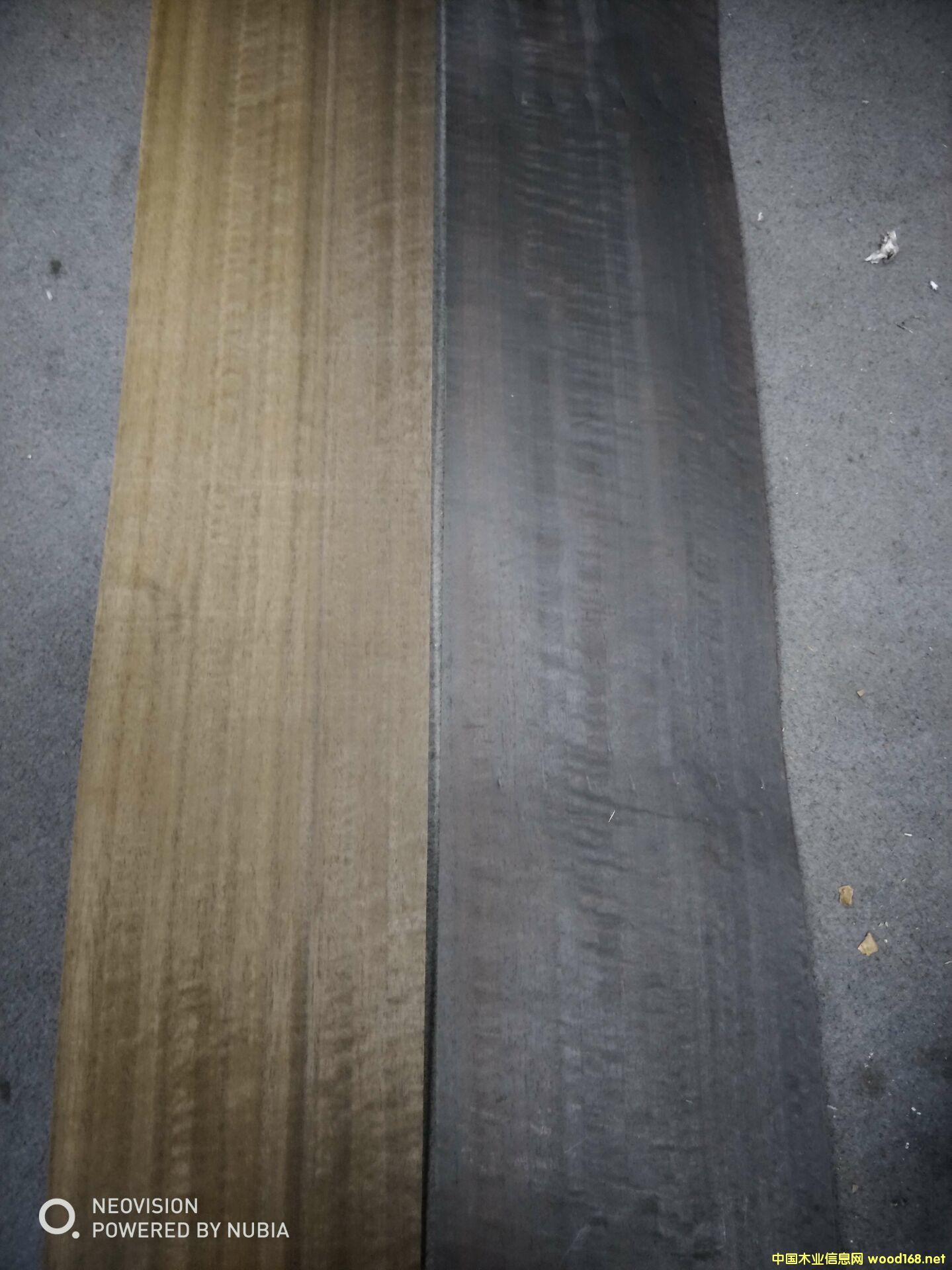 ȾɫľƤ��Ԕ����B