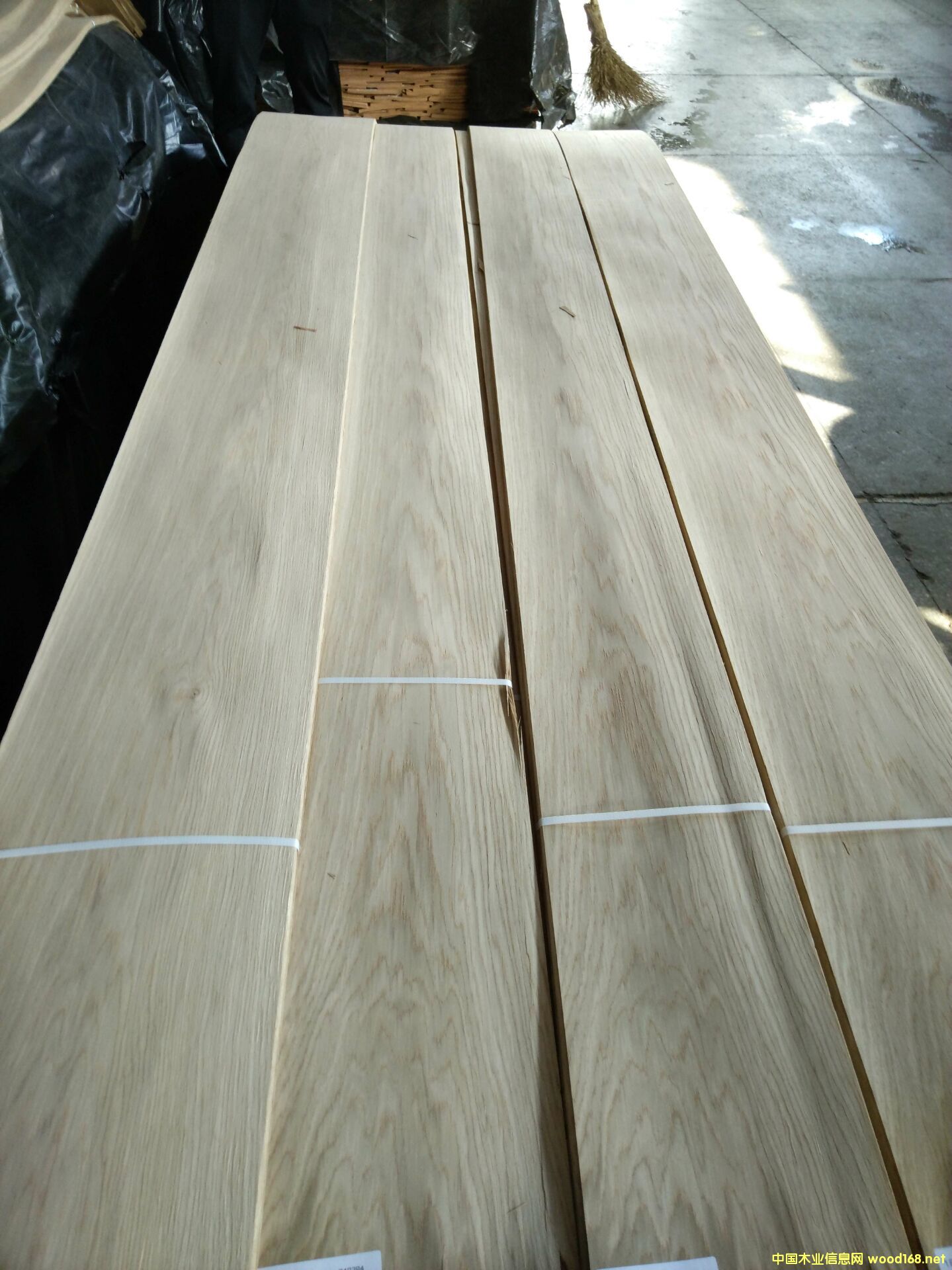 ����ɽ�y��Ԕ����B