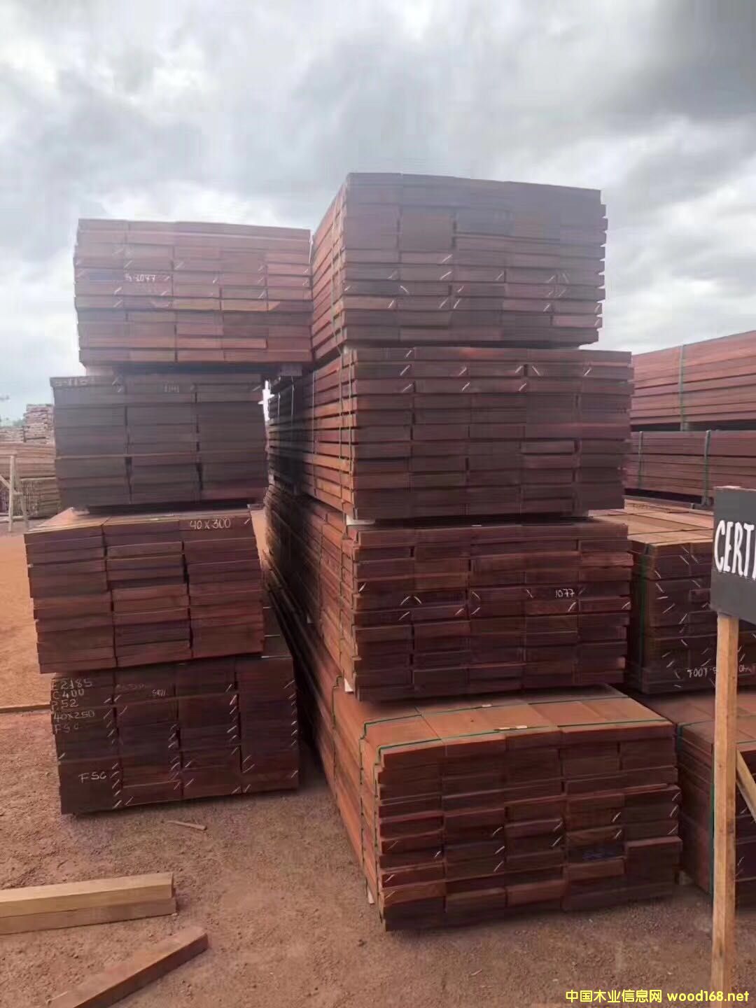 ���������Ԕ��(x��)��B