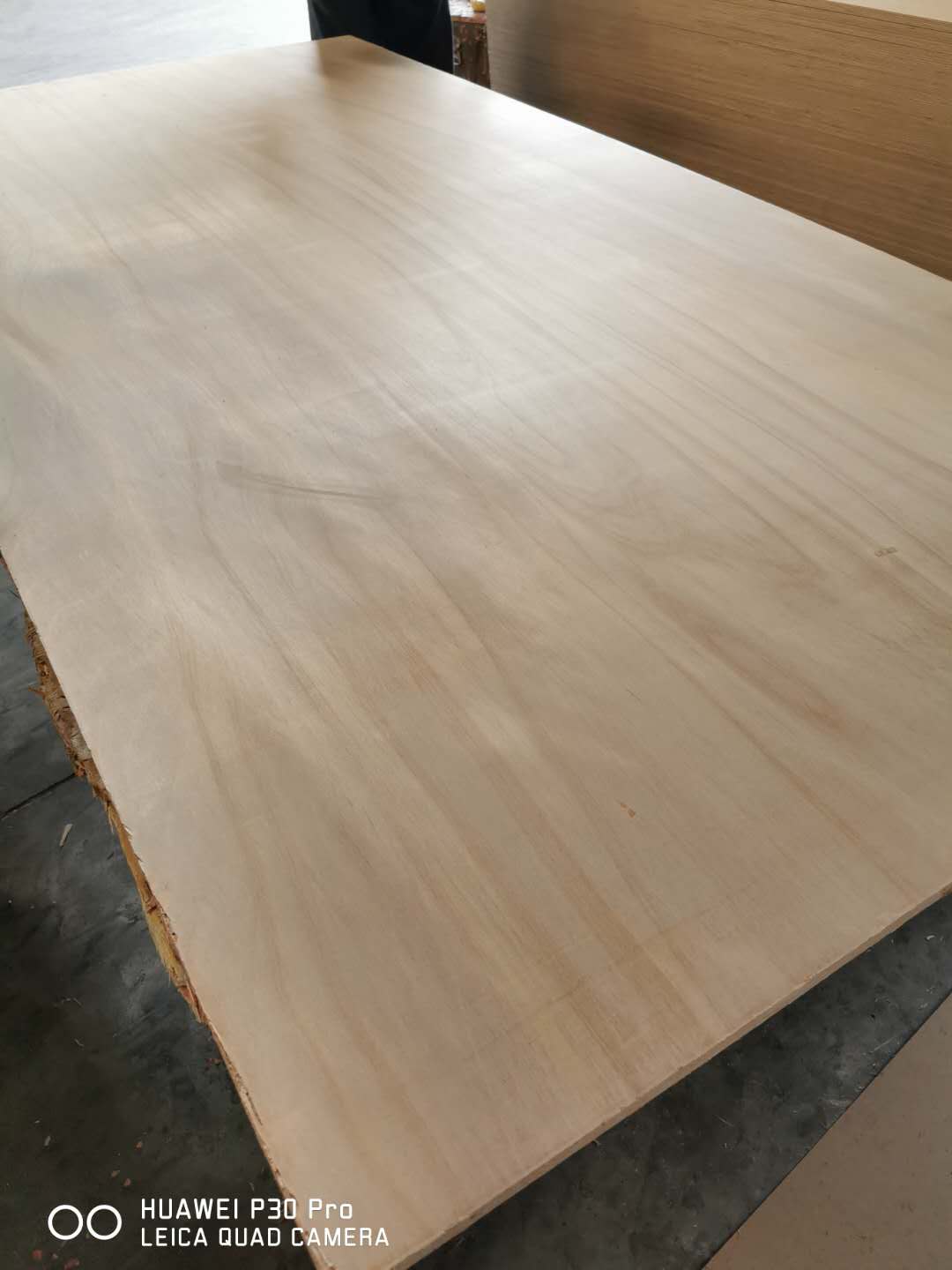 [��] �S��ֱ����(y��ng)��ľо�z�ϰ� EO/E1��(j��)���ϰ����A����Ӱ��