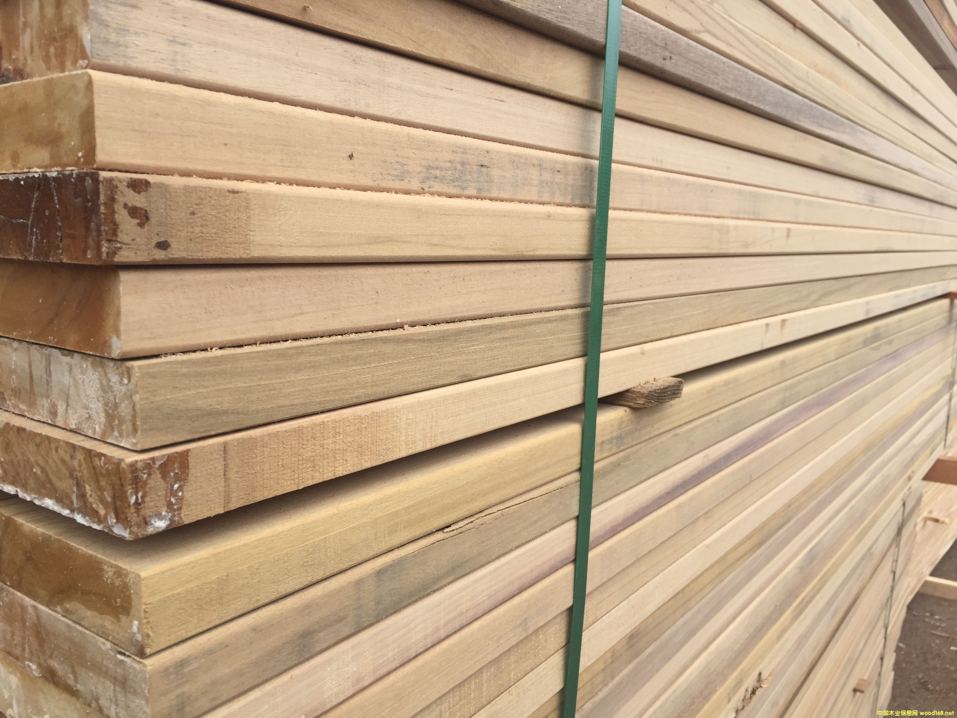 �̈́�ľ�����Xһ�� �Ϻ��̈́�ľ�ذ�S��