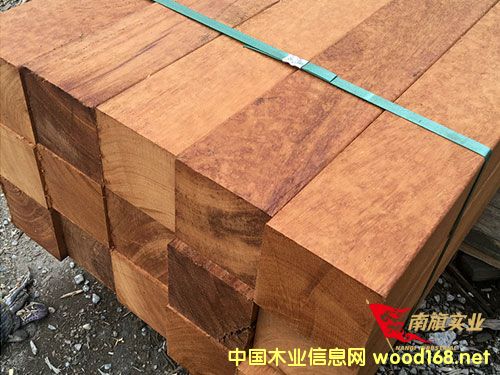 �Ϻ��̈́�ľ���l(f��)�Ј�(ch��ng) �̈́�ľ�����X(qi��n)һ��