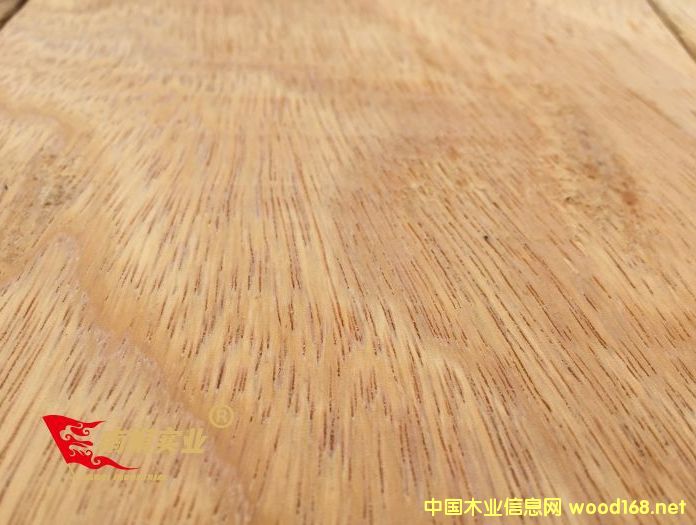 �Ϻ����}��ӹ��S ���޲��}�����l(f��)�r��