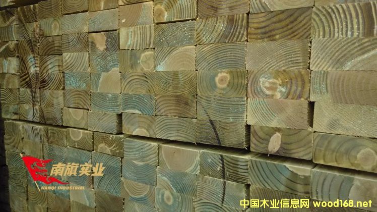 �����Ϸ��ɏS��  �����Ϸ��Ƀr��