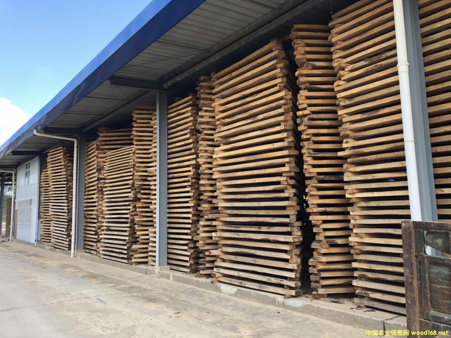 ����ľ䏲�