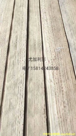 ��(y��u)�|��Ȼ�ȼ���ӰľƤ