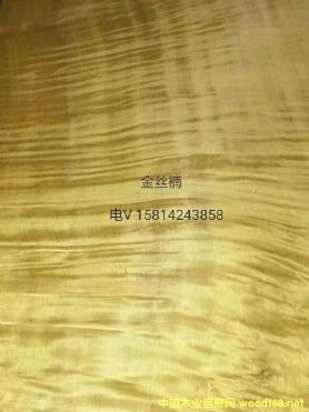 ��(y��u)�|��Ȼ��z�ľƤ