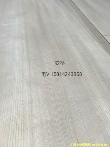 ��(y��u)�|(zh��)��Ȼ�FɼľƤ