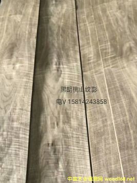 ��(y��u)�|(zh��)��Ȼ�ں���ɽ�yӰľƤ