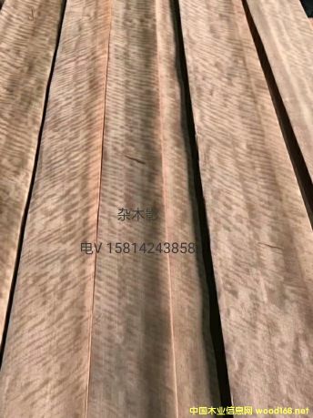 ��(y��u)�|(zh��)��Ȼ�sľӰľƤ