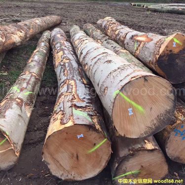 �����W�ޙ�ľֱ߅���L�ж�