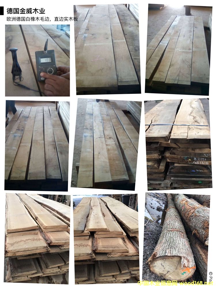 [��] �����W�� ����ľ ë߅�� ֱ߅�� ��(sh��)ľ�� ��ľ ABC��(j��) �Ҿ�ľ��