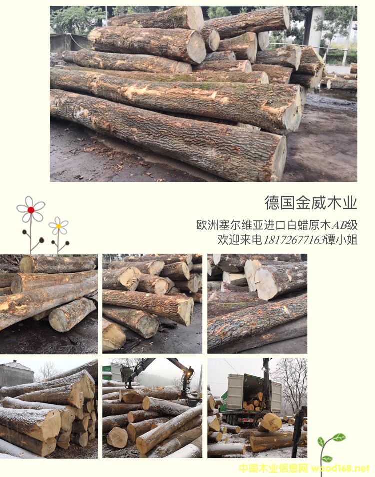 �W�ް�Ϟ?z��i)?ԭľ