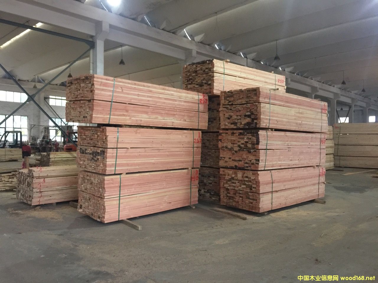 �S��ֱ�N������ľ������ľ��ľ������Ž��������b��