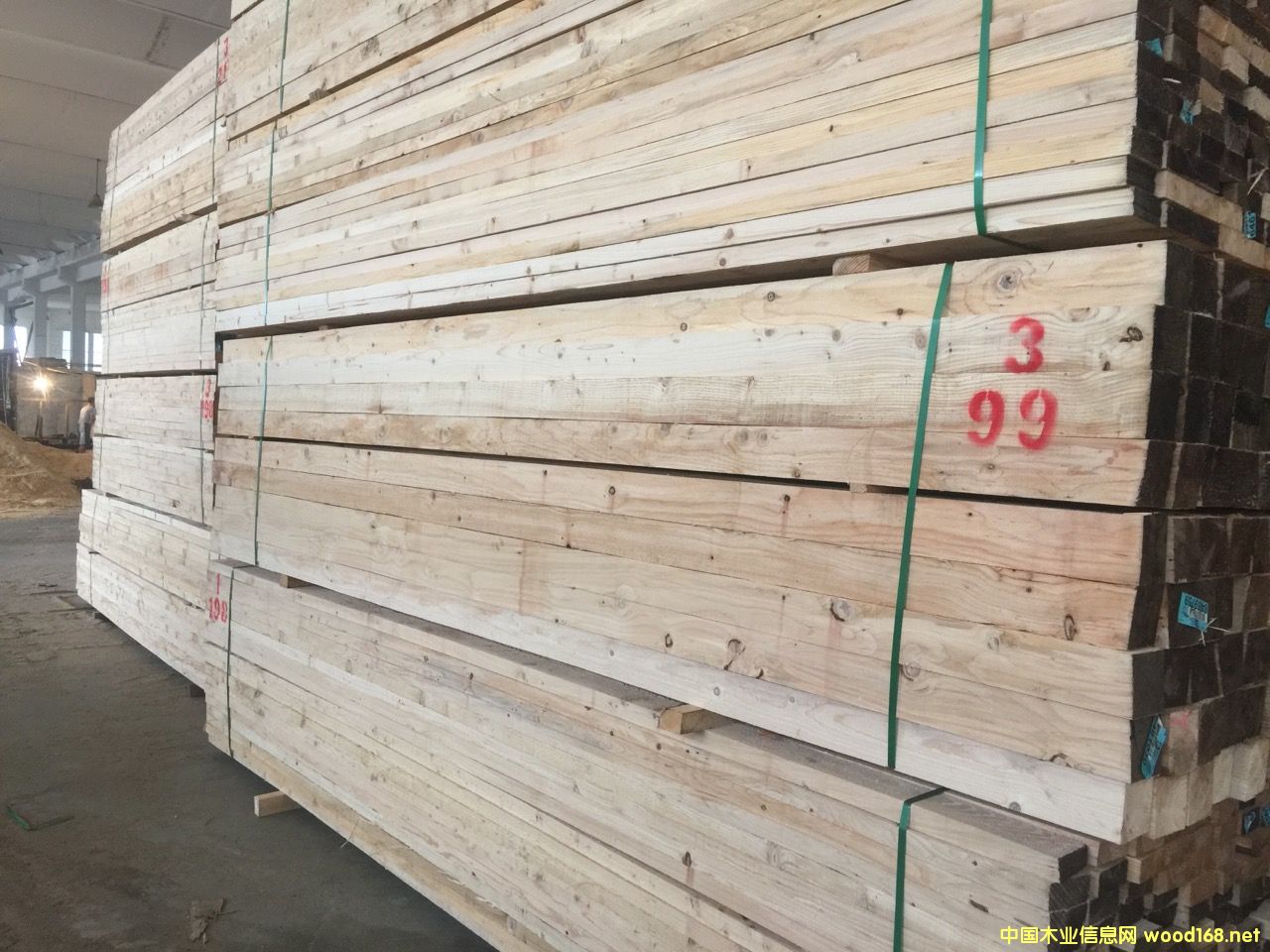 �S��ֱ�N�Fɼľ������ľ��ľ������Ž��ġ����b��