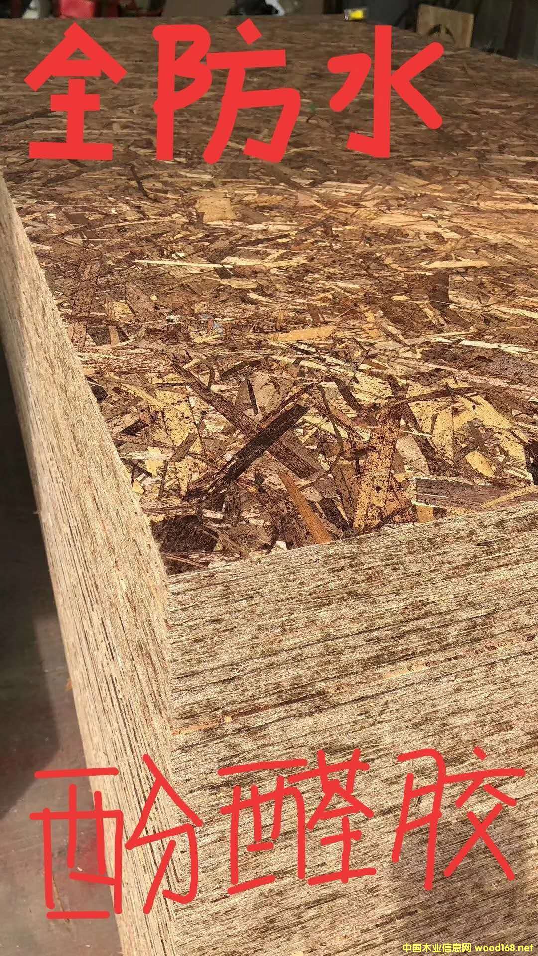 ɽ�|��ǧ����OSB�W�ɰ�