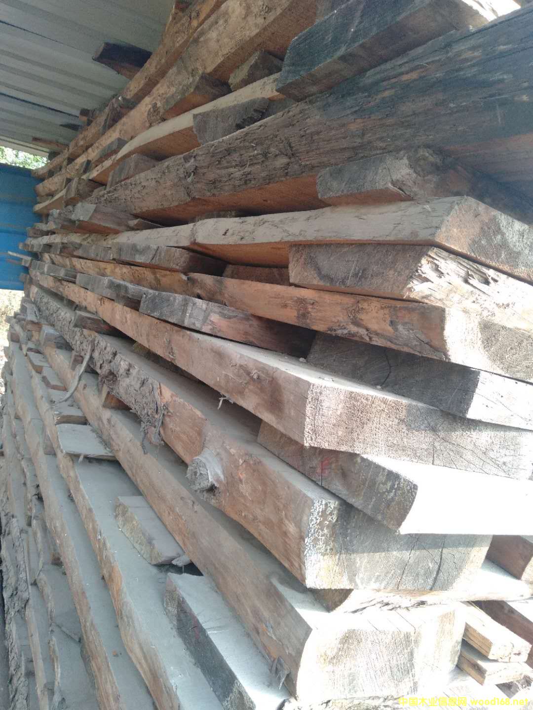 �t�ɰ��13966637849