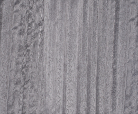 �ȼ�����Ѭľ����