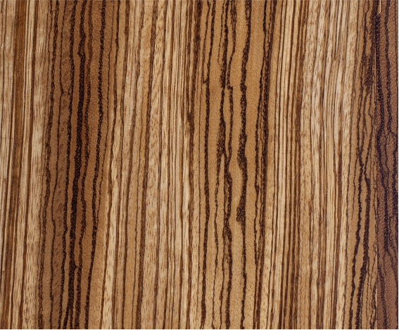 ������֮ï��Ȼ���Rľ����