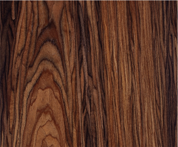 ������֮ï������֦ľ����