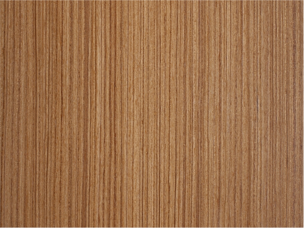 ̩��ľȫ�ݶ��ư��