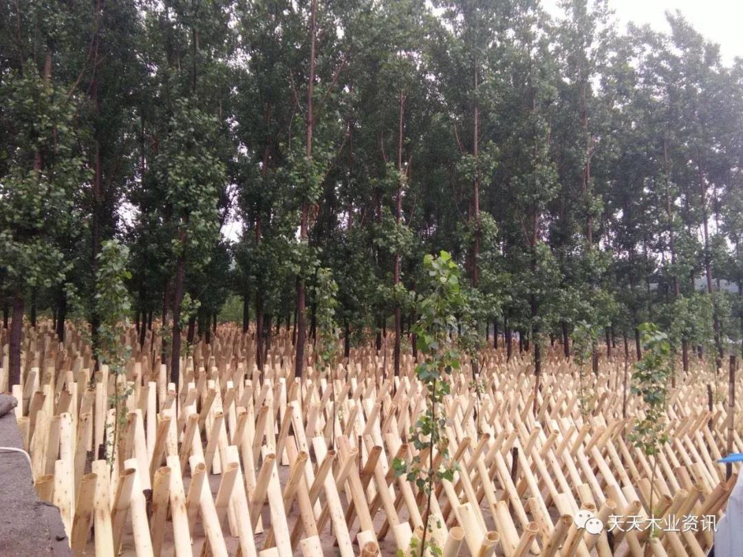 的詳細(xì)介紹