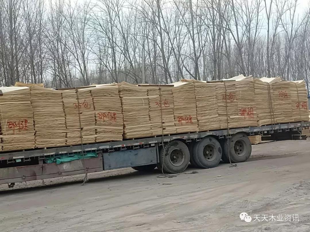 的詳細(xì)介紹