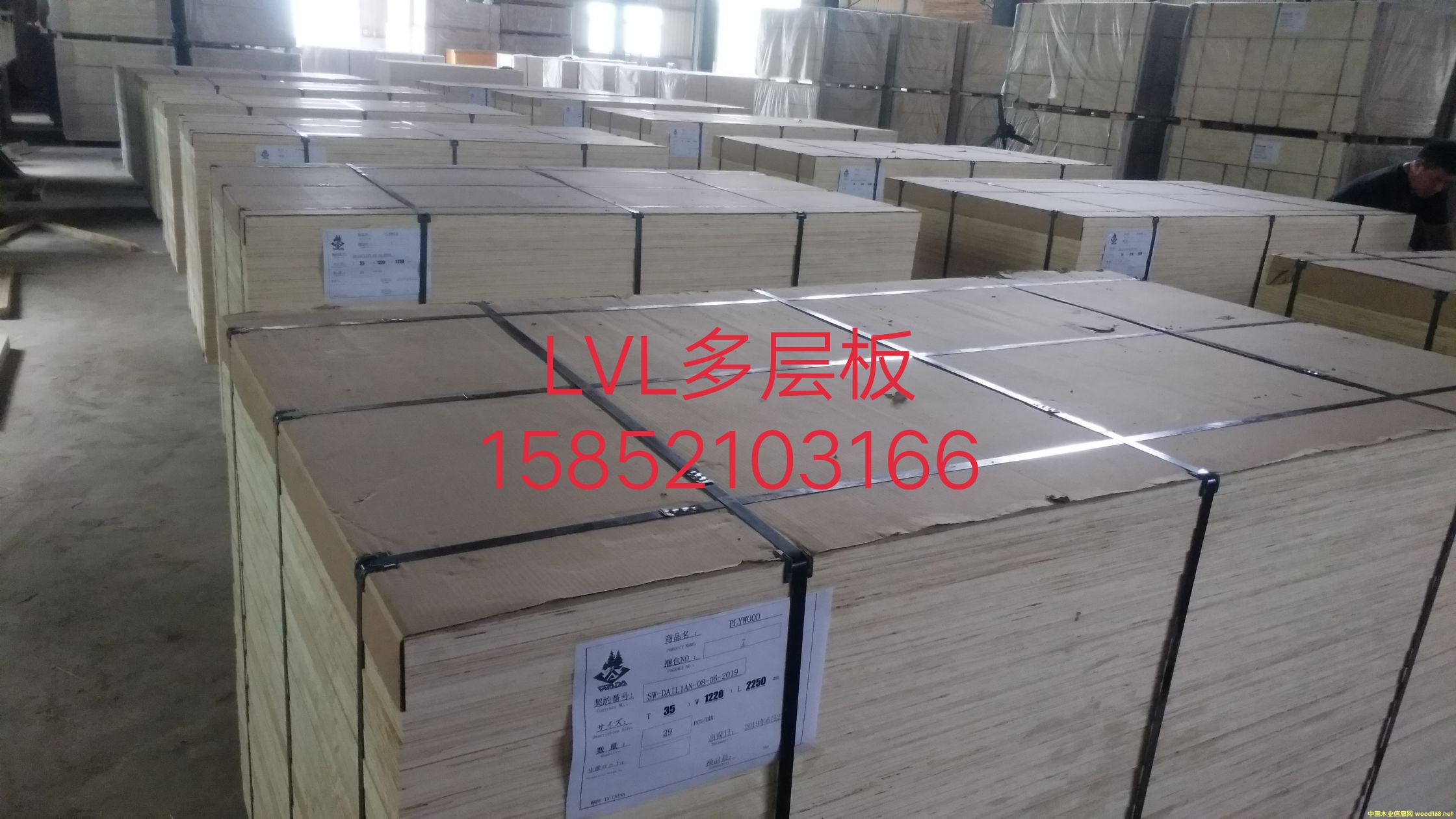 [��] LVB�����Tо��