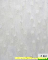 �Ƽ�ľƤ��Ԕ��(x��)��B