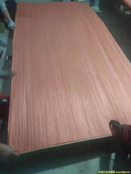  ��Ԕ��(x��)��B